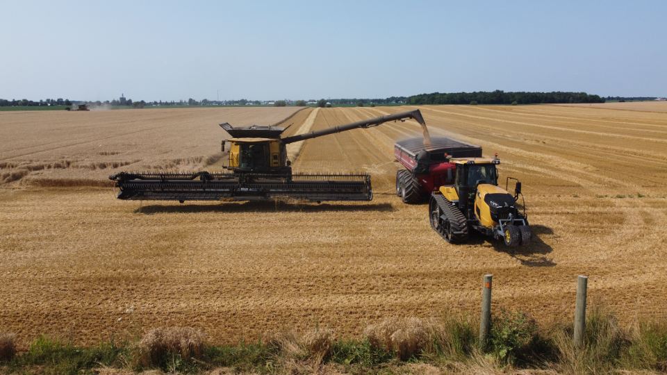 Claussen Farms Combining