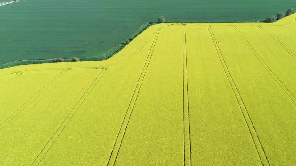 Claussen Farms Crop Management