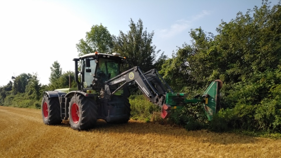 Claussen Farms Tree Trimming